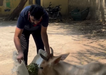 H2505042_Gau seva #cows #gaumata #gauseva #animals #animal Little Seeds_part2