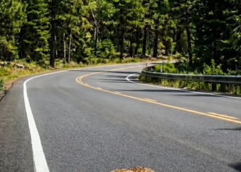 P2205009_Kind Man Rescue poor Unconscious Deer on road side #deer #reel_part2