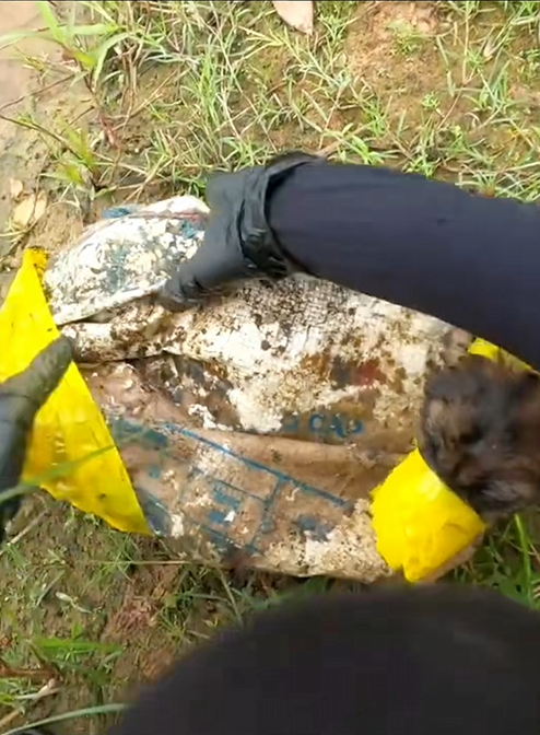 G0106021Rescue baby dog 😩😩 #rescue #animals #animalsoftiktok #rescueanimals #dog #dogsoftiktok #rescuedog_part2
