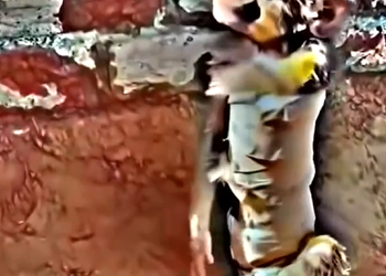 A0920001 Accident change whole life poor monkey
