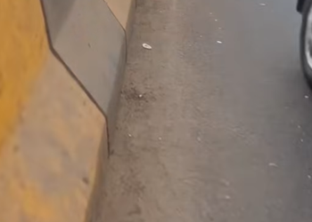 T1001005 He was pressed so flat against that curb, trying to make himself as small as possible. Every car that flew by m