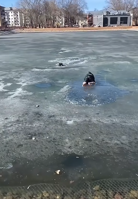 T0810002 A dog had fallen through the ice