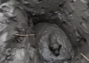 T1001007 He was sunk chest-deep in thick grey mud at the bottom of a construction pit, crying, completely stuck, no way