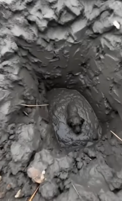 T1001007 He was sunk chest-deep in thick grey mud at the bottom of a construction pit, crying, completely stuck, no way